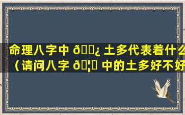 命理八字中 🌿 土多代表着什么（请问八字 🦈 中的土多好不好）